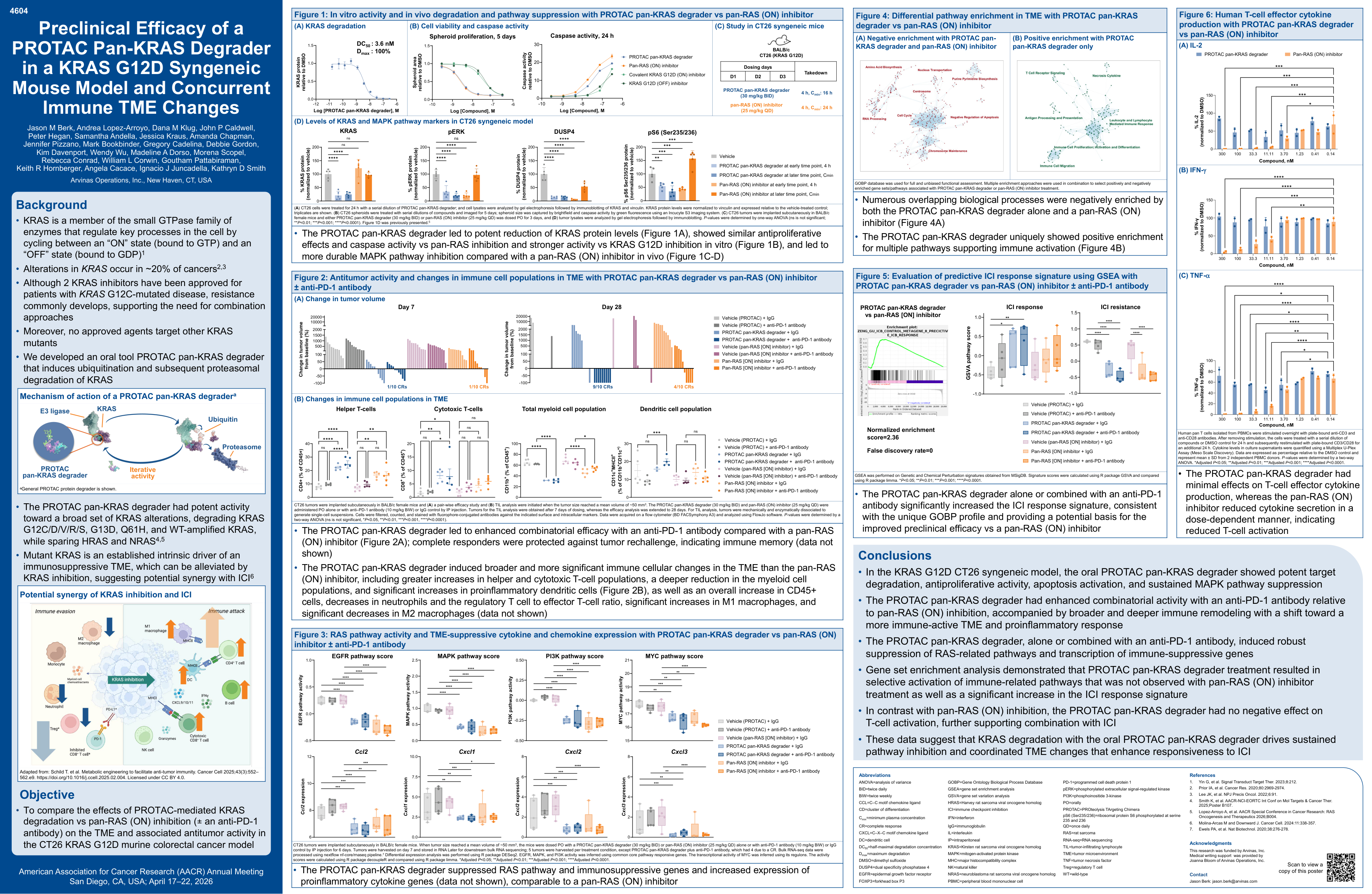 Preclinical efficacy of a PROTAC pan-KRAS degrader in a KRAS G12D syngeneic mouse model and concurrent immune tumor microenvironment changes